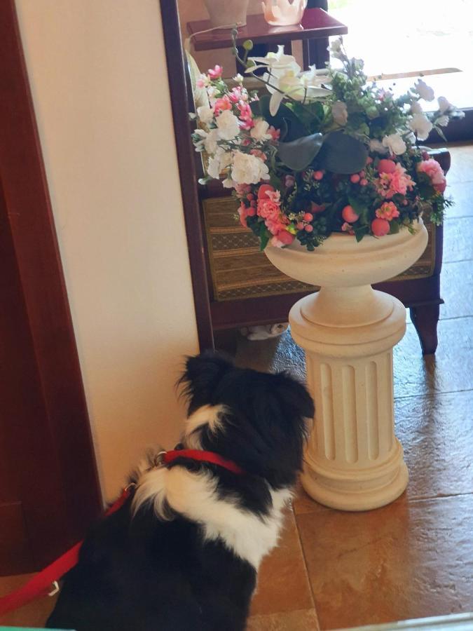 Griko Country Hotel Lecce Luaran gambar